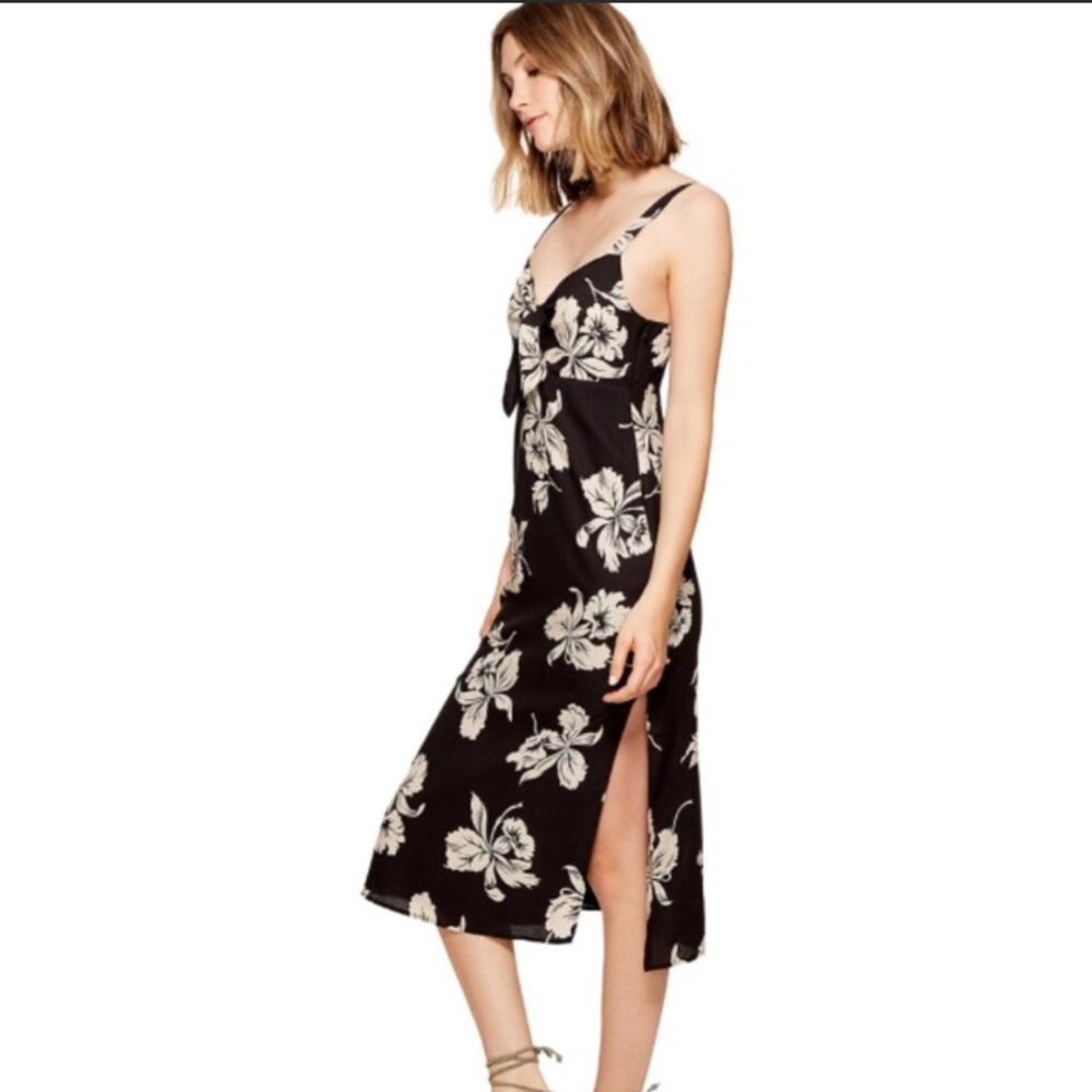 NWT Amuse Society Dress